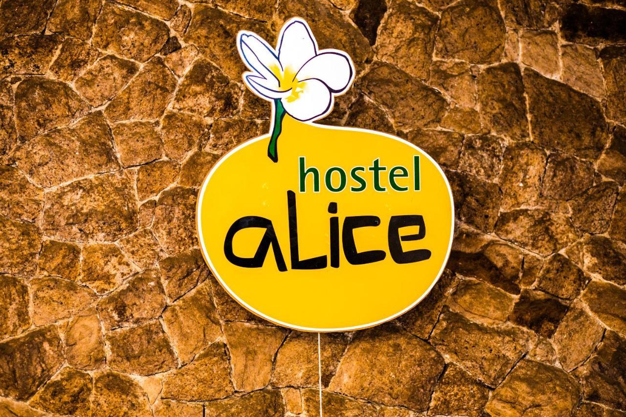Hostel Alice E Padoca Vegan São Paulo Eksteriør billede