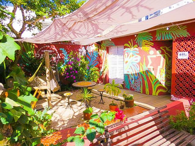 Hostel Alice E Padoca Vegan São Paulo Eksteriør billede